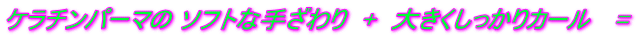 P`p[} \tgȎ肴  +  傫J[ @=  