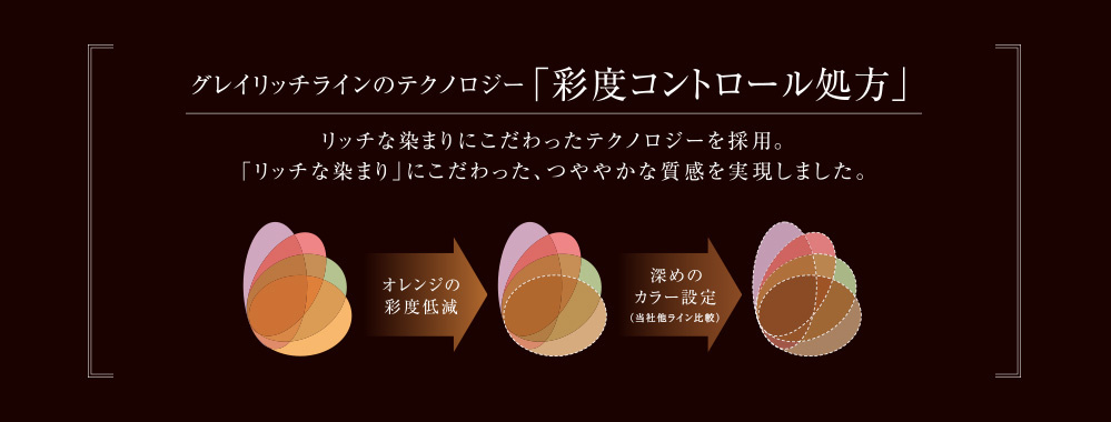グレイリッチ　テクノロジー