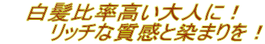 グレイリッチ マロンブラウン